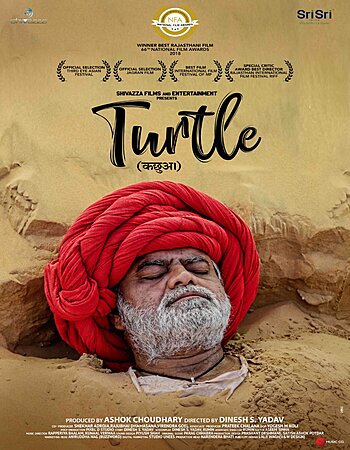 Turtle 2018 DVD Rip full movie download